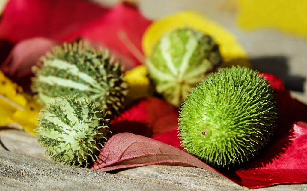 転職先の人間関係に対する不安を解消する方法は？