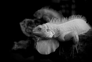 転職初日に感じる不安を解消するための対策は？