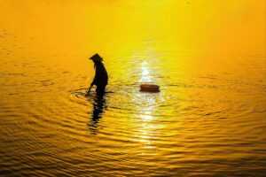 30代の転職で同世代が多い業界はどこですか？